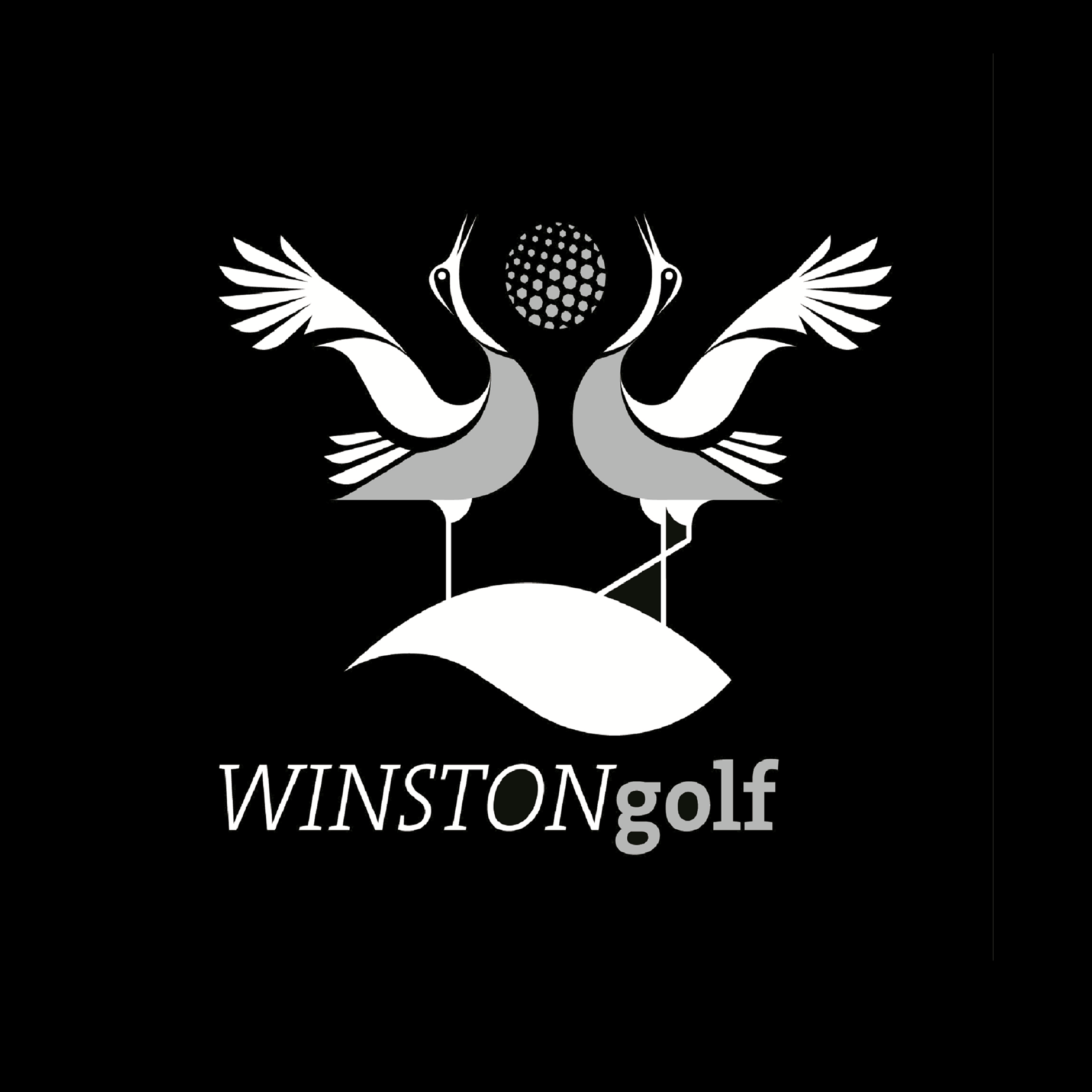 Image result for WINSTONgolf