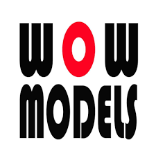 Image result for WOW Models