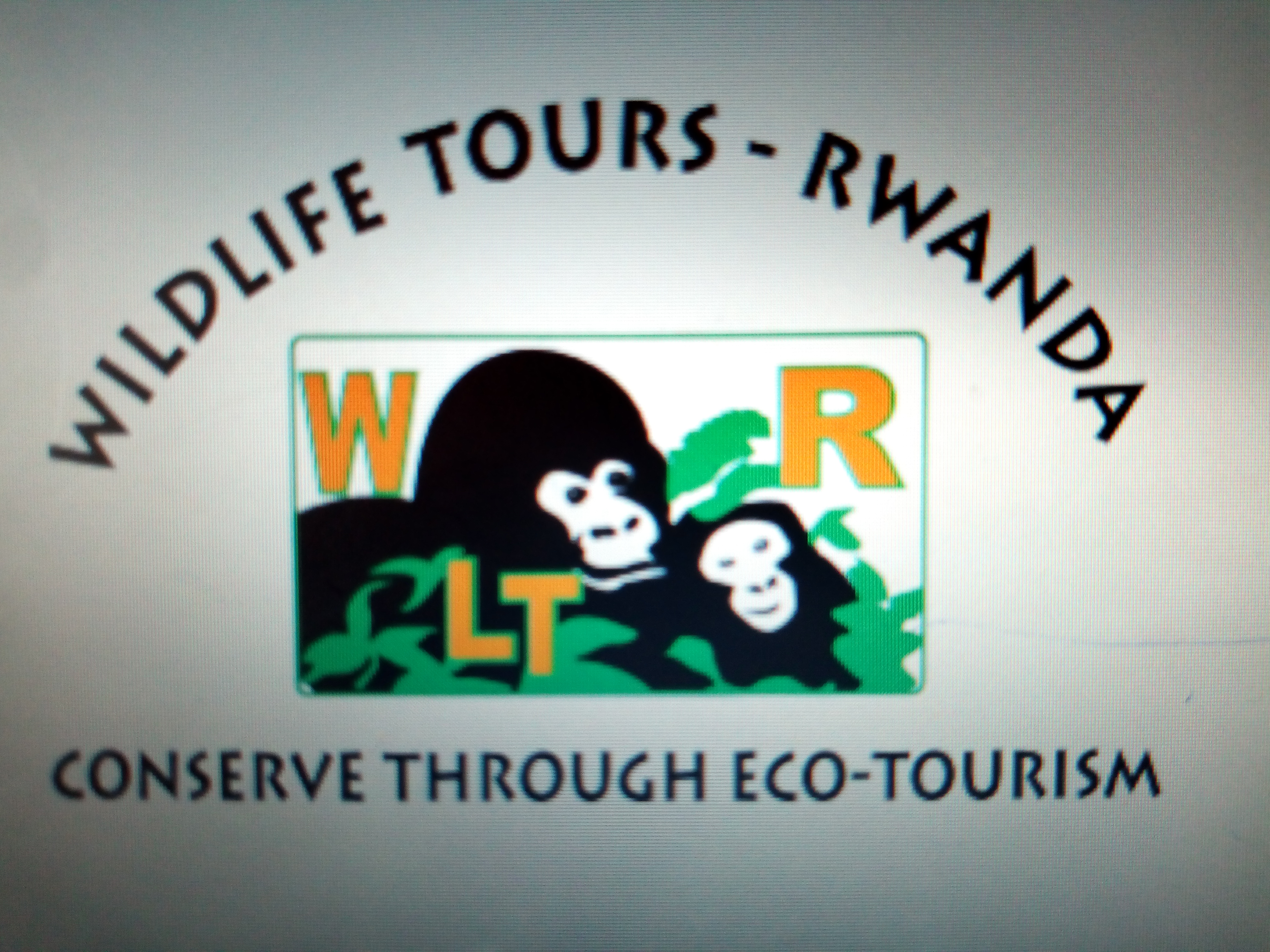 Image result for Wildlife Tours Rwanda