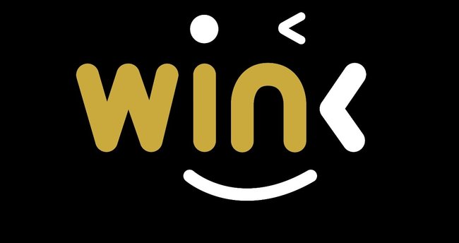 Image result for Wink