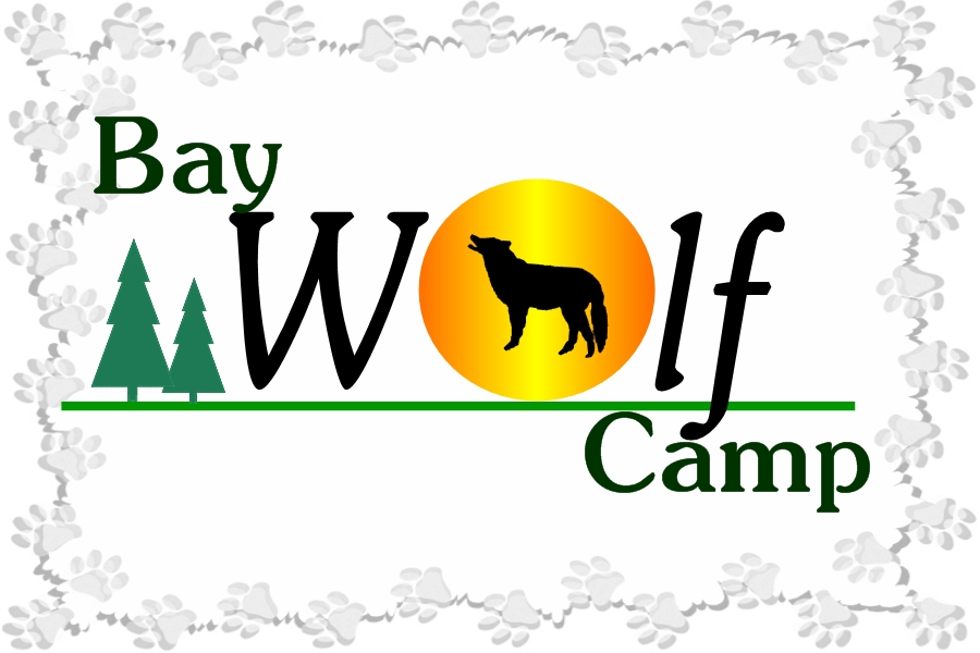 Image result for Wolf’s Fang Camp Queen Maud Land