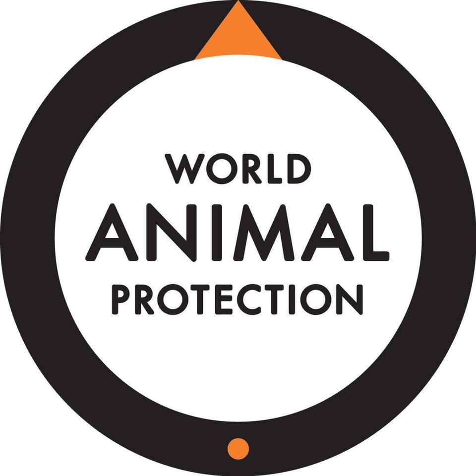 Image result for World Animal Protection