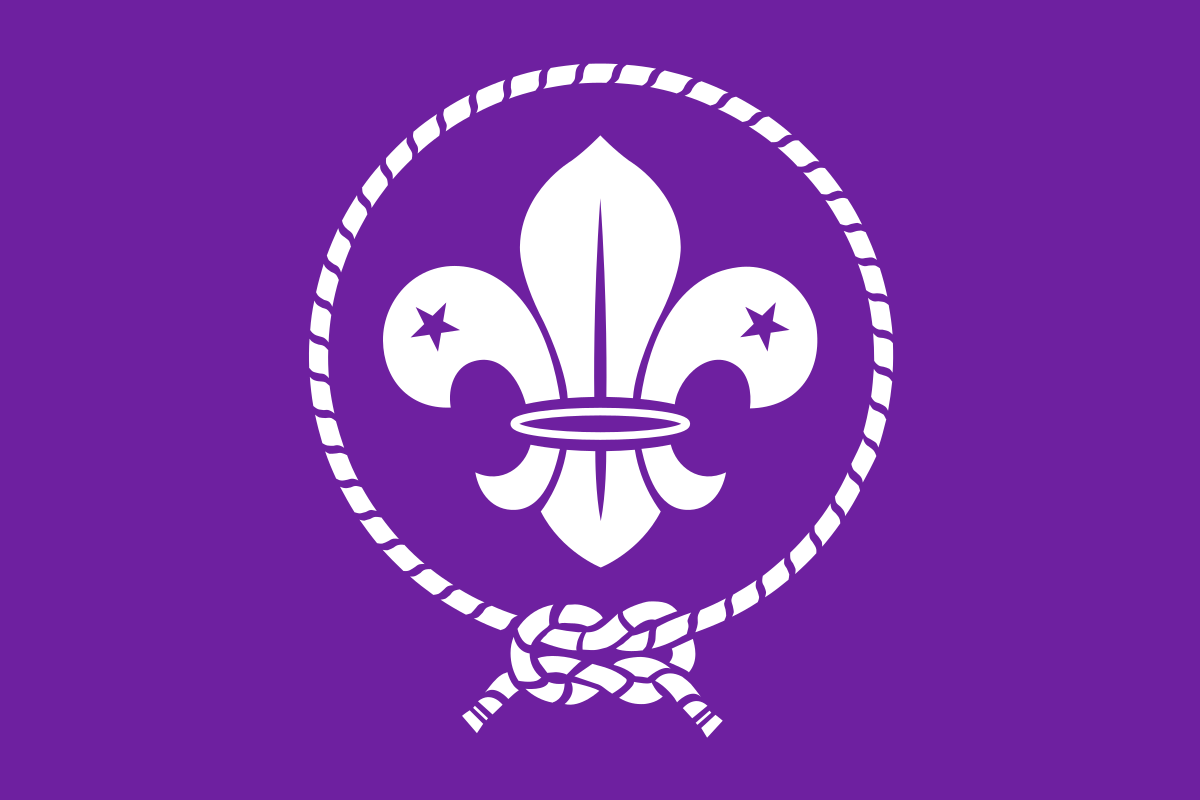 Image result for World Organization of the Scout Movement