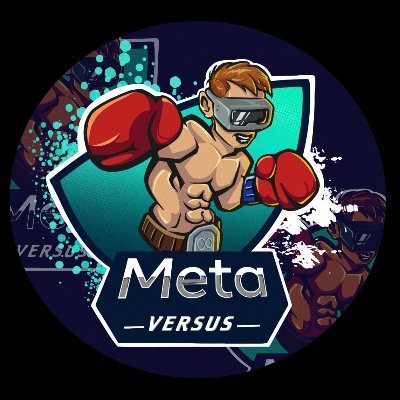 Image result for MetaVersus