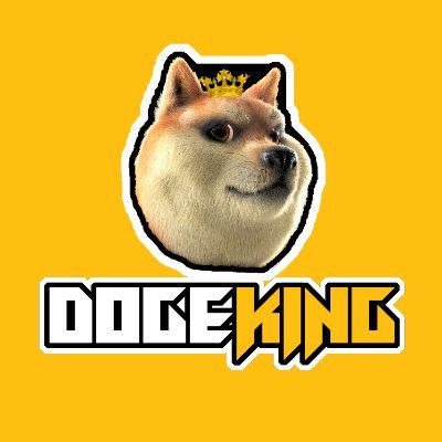 Image result for DogeKing Metaverse