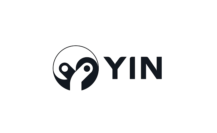 Image result for YIN Finance