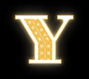 Image result for Ycasino