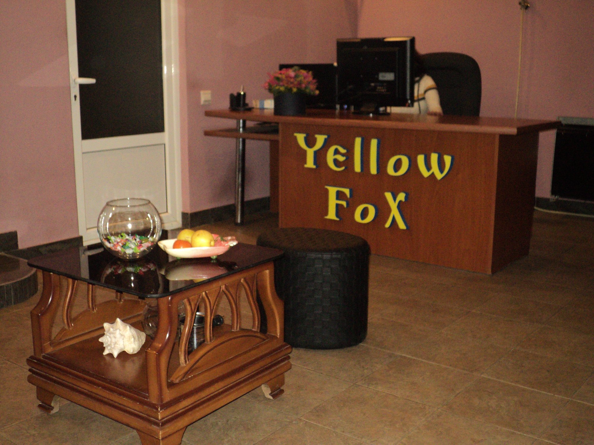 Image result for Yellow Fox