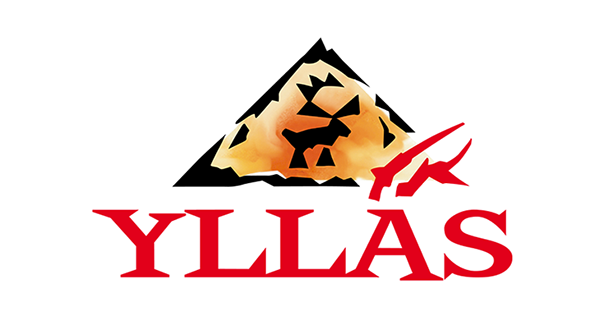 Image result for Yllas