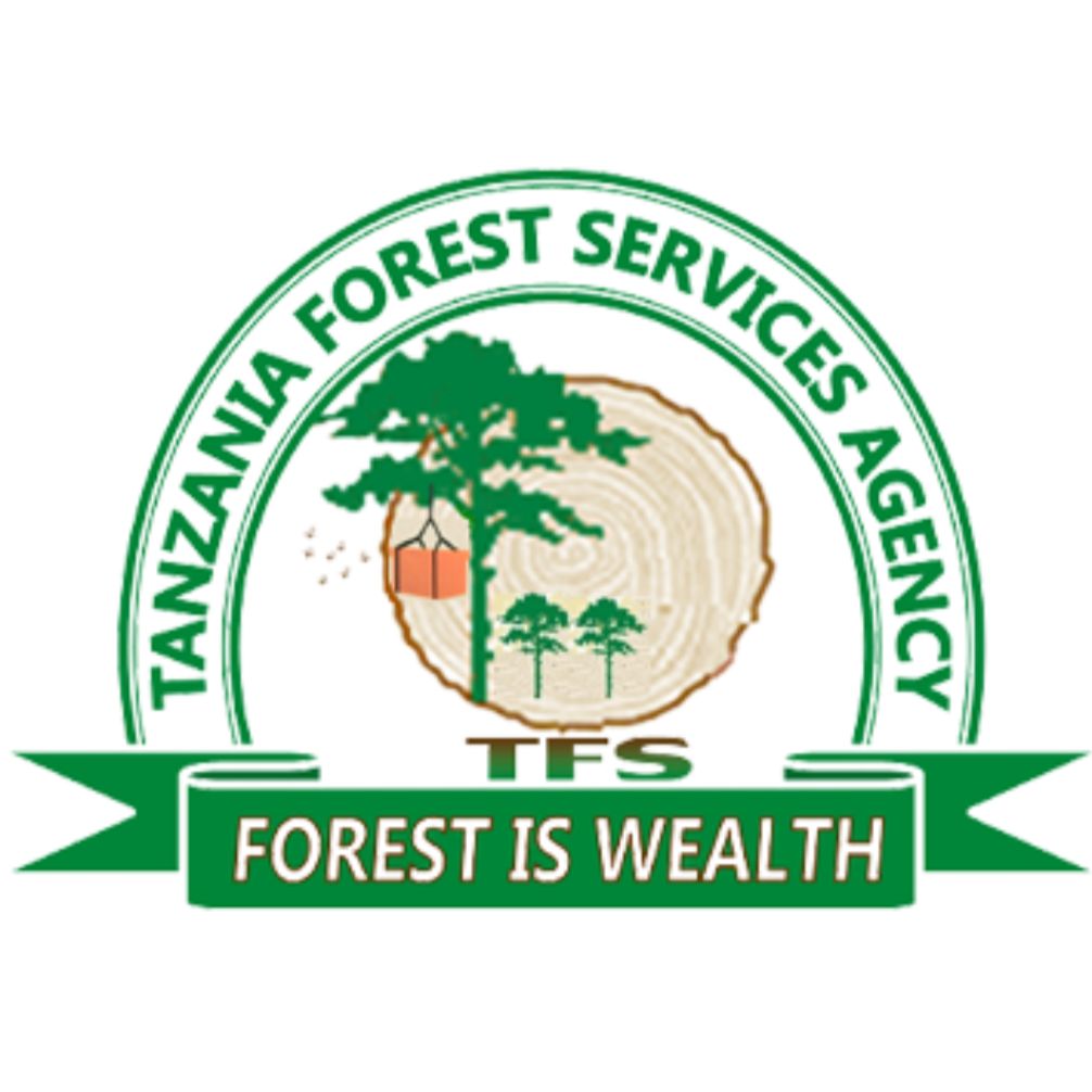Image result for Amani Nature Forest Reserve, Tanzania