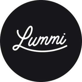Image result for Lummi AI