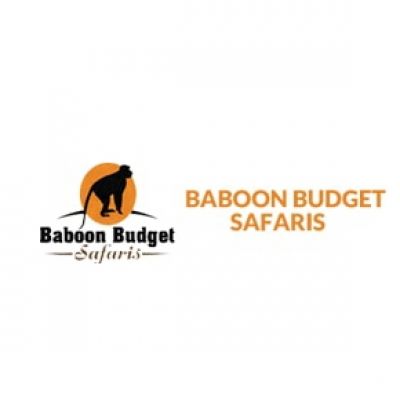 Image result for baboon budget safaris