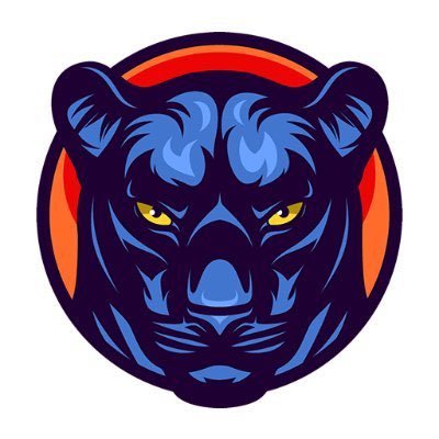 Image result for PantherSwap