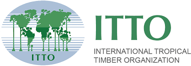 Image result for International Tropical Timber Organization (ITTO)
