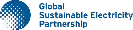 Image result for Global Sustainable Electricity Partnership