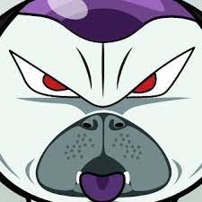 Image result for Frieza Inu