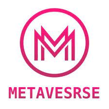 Image result for Musk Metaverse