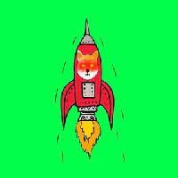 Image result for Rocket Shib