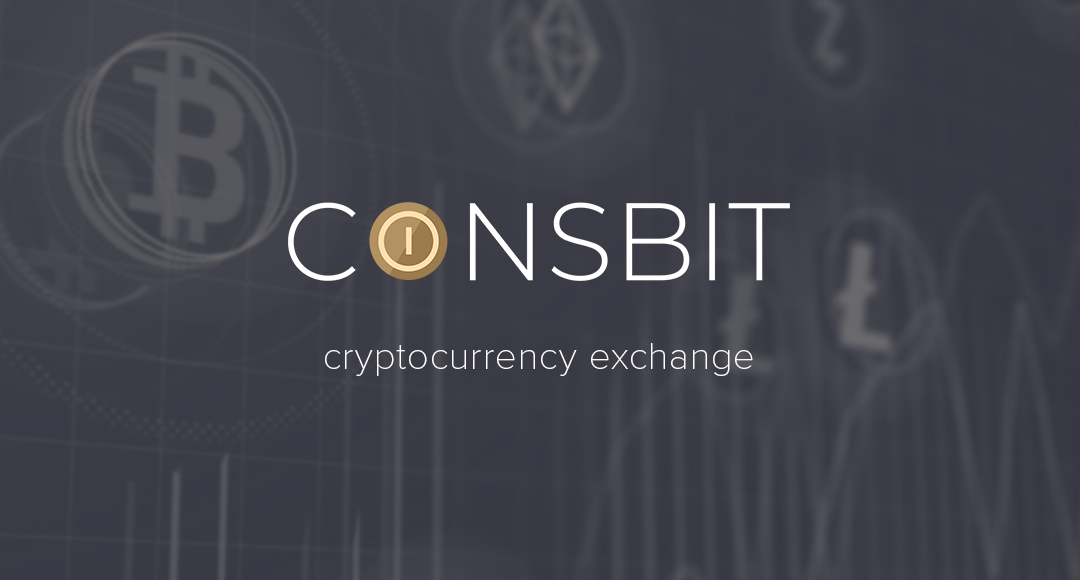 Image result for Coinsbit Token