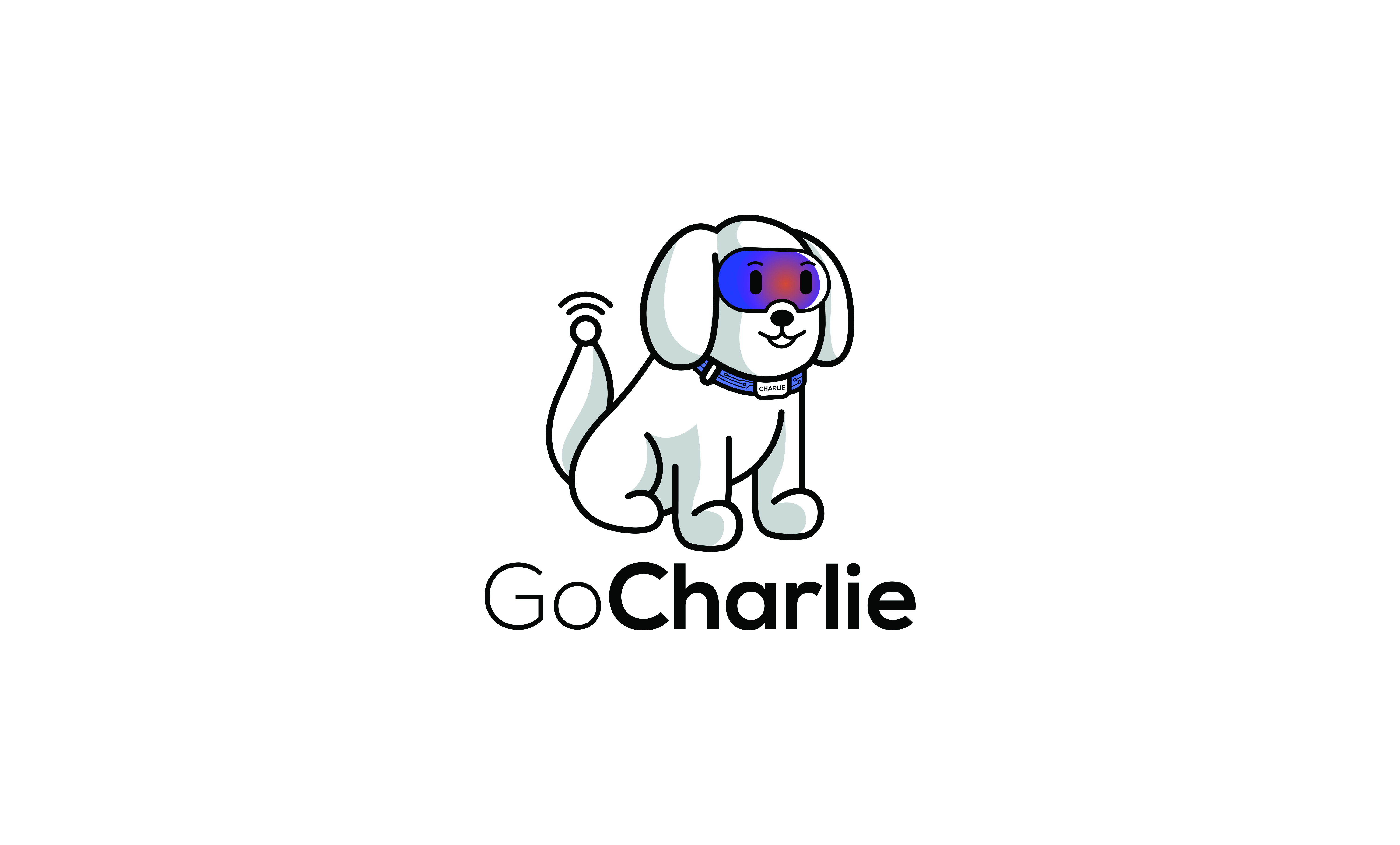 Image result for Go Charlie