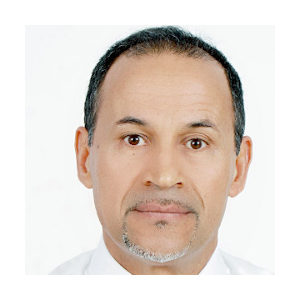 Image result for Dr. Mustapha El Bouhssini