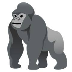 Image result for GorillaTerminal
