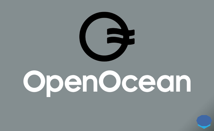 Image result for OpenOcean