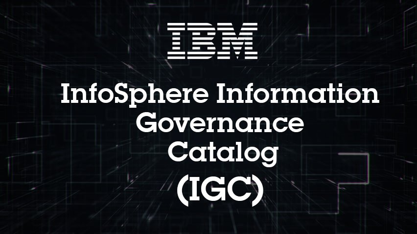 Image result for IBM InfoSphere Information Governance Catalog