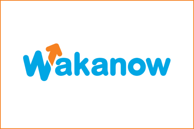 Image result for Wakanow