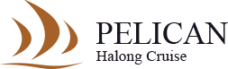 Image result for Pelican Halong Cruise