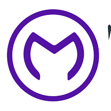 Image result for OnModel.ai