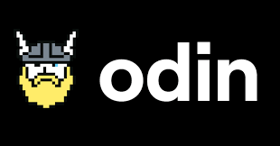 Image result for Odin