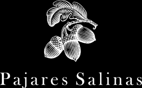 Image result for Pajares Salinas