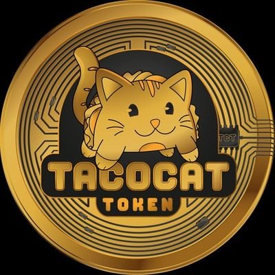 Image result for TacoCat Token