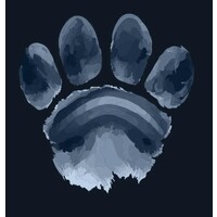Image result for Laion