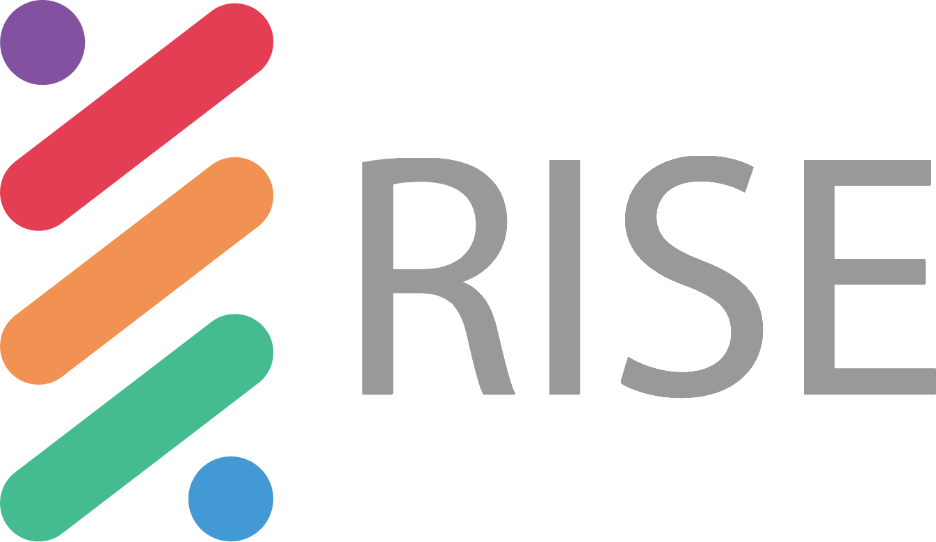 Image result for Rise