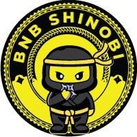 Image result for BNB Shinobi