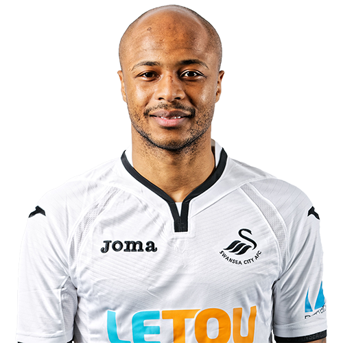 Image result for Andre Ayew