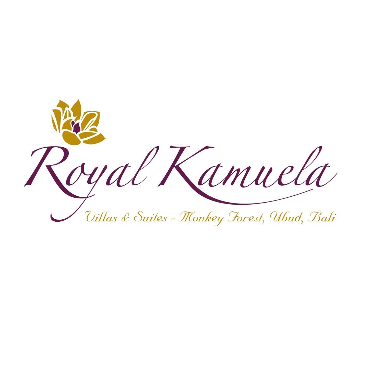 Image result for Royal Kamuela at Monkey Forest