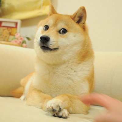 Image result for The Doge NFT