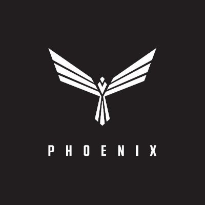 Image result for Phoenix Global