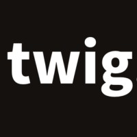 Image result for Twig Ai