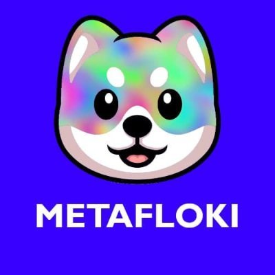 Image result for Meta Floki